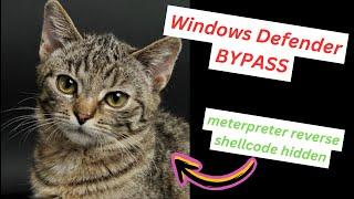 Cyber Security - Bypass Windows Defender with Steganography/WafflesExploits