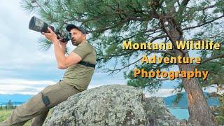 Wildlife Photography Adventure Montana | Boats, Bighorns, and Mule Deer