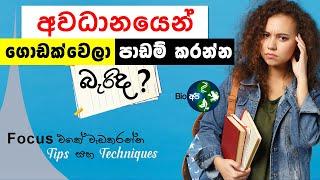 අවධානයෙන් පාඩම් කරන්නේ මෙහෙමයි- How to focus on studying in Sinhala | Deep Work Technique Study Tips