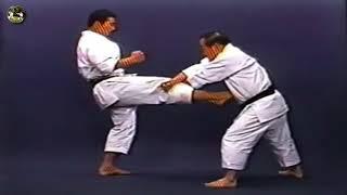 SHOTOKAN karate - The Nakayama - Heian Yondan Kata and Bunkai (Каратэ Шотокан Накаямы)