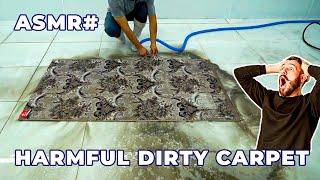 Satisfying Rancid Rug Cleaning | ASMR Carpet Cleaning