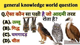 GK question || GK in Hindi || GK question and answer || GK quiz || Skr gk study teach