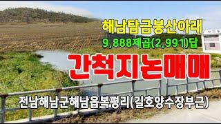 23-056[전남해남군지역농지][해남읍복평리간척농지논]탐금봉아래,한국농어촌공사길호양수장부근,간척지논(2,991py)매매~