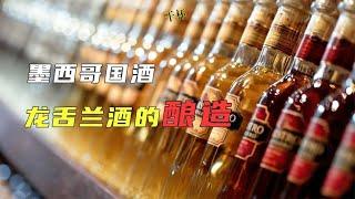 被称为墨西哥国酒！龙舌兰酒的酿造过程，先把龙舌兰打碎 纪录片