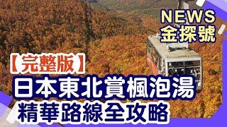 日本東北賞楓 紅葉名所全攻略【News金探號 20241020】