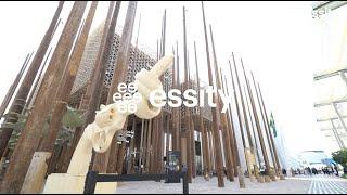 Essity at Dubai World Expo