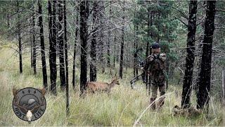 The bucks fire right up. Earliest I’ve ever seen. (Bowhunting the fallow deer rut)