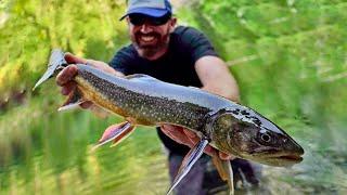 Todesklarer Bergsee - wir sehen alle Fische bis zum Grund (riesige Forellen & Saiblinge)