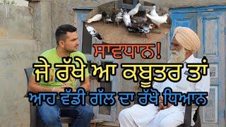 ਜੇ ਕਬੂਤਰ ਰੱਖੇ ਆ ਤਾਂ ਹੋ ਜਾਵੋ ਸਾਵਧਾਨ|Harbhej Sidhu| Pal Singh Daudhar|Sukhjinder Lopon| Top piegien|