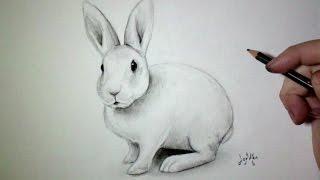 Comment dessiner un lapin [Tutoriel]