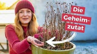 🪴Kann man Erde aus alten Blumentöpfen wiederverwenden?