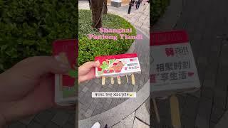 #상하이#판롱티엔디#탕후루