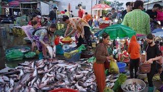 Cambodian Early Morning Fish Market Scene - Plenty Alive Fish, Seafood & More @PrekPhnov Fish Market