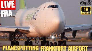 Live Planespotting Frankfurt Airport in 4K  Teststream