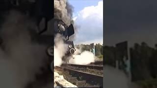 Steam Train in Mariembourg 1995 (Old video) #train #trainspoting