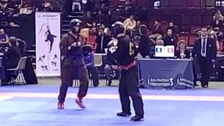 Art Martial Vietnamien - CDF 2015 COMBAT - Demi Finale