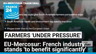 'Bigger picture': EU-Mercosur trade deal would 'open door for a lot of French agricultural exports'