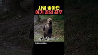 사람 좋아한 아기 곰의 최후