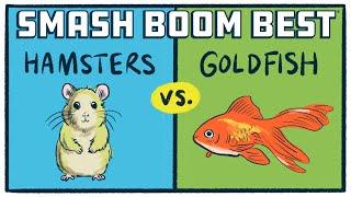 Smash Boom Best LIVE  | Hamsters vs. Goldfish | An Award-Winning Debate Show for Kids