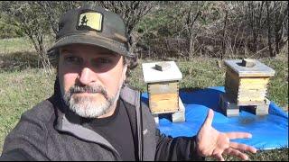 I Explain Why The Big Blue Tarp Under and Around My Bee Hives