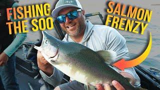 Pink Salmon Frenzy: Sault Ste. Marie Fishing Adventure | Fisherman’s Digest