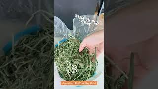 What Cutting Of Hay Is Best For Rabbits Best Hay For Rabbits