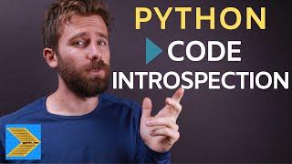 Code introspection in Python (Getting help information)