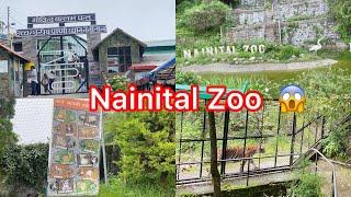 Nainital Zoo ||Nainital tourist places ||Nainital zoo video @Myholidayinindia