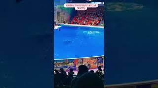 Dolphin Show/Dubai Dolphinarium/My Gracious Home #shorts