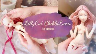 Lillycat ChibbiLana BJD Unboxing  WonderlandFaerie