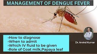 Dengue Fever: Assessment and Management Guide for Medical Professionals