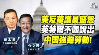 美反華議員盛怒 英特爾不願說出中國強迫勞動!【介文汲 X 楊永明】