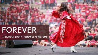 포레버 Forever - 입실렌티 응원 / 고려대학교응원단 / 고려대 응원가