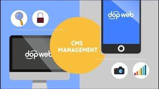 CMS Management Services: Web Agency Los Angeles