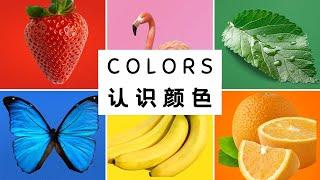 【认识颜色Colors】红橙黄绿青蓝紫色彩斑斓的世界是由多种颜色组成的 Let's get to know the different colors in Chinese