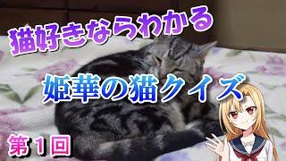 猫好きならわかる　姫華の猫雑学クイズ　第１回