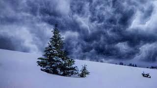 WIND BLOWING & WHISTLING. ASMR_ SOUNDS OF SOOTHING WINTER WIND FOR SLEEPING.