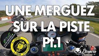 Une Merguez sur la Piste Pt 01, un 650 Sv Bon pour la Casse !