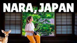 A day trip to NARA | Japan Travel Vlog  Nara Deer Park, Todai-ji Temple, Viral Mochi  #narajapan