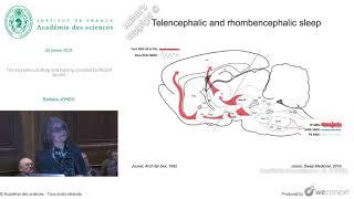 [Conférence] B. JONES - The mysteries of sleep and waking unveiled by Michel Jouvet