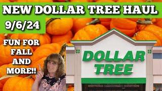 Check Out My Latest Dollar Tree Finds!