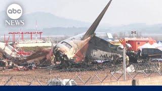 Aviation expert on possible causes of South Korean jet crash