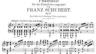 Schubert: Wanderer Fantasy in C Major, Op.15 (Lewis)