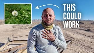 I Planted Trees that Can Survive 100°+ Heat (with Suburban Biology)