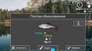 Обзор рыбалки на андроид "Моя Рыбалка  HD 2"