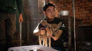 Dog meat restaurant in Viet Nam closes after 20 years