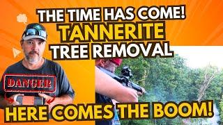 Blowing Up a Tree with Tannerite | Tannerite Tree Removal Explosion Warning!