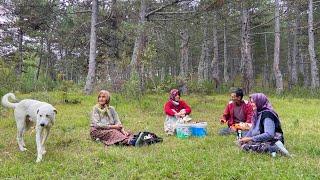 Hard Village Life in the High Mountains of Turkey. Documentary