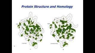 The Why Behind Latex Allergy and Cross Reactive Food