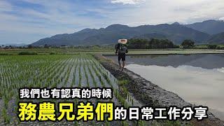 【務農夫婦】第293篇【我們務農兄弟們也有認真的時候】